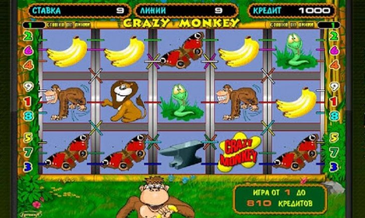 Играть онлайн игровой автомат crazy monkey i обмануть игровой автомат